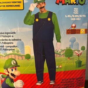 Super Mario Luigi Costume - Green and Blue